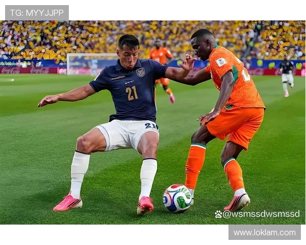 科特迪瓦1-0厄瓜多尔回顾：E组首轮关键胜利